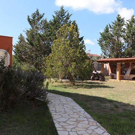 Irini-Appartement Kávos المظهر الخارجي الصورة